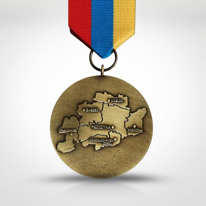 Oficjalne odznaczenie - Za Zasługi Dla Pow Pszczyńskiego 2